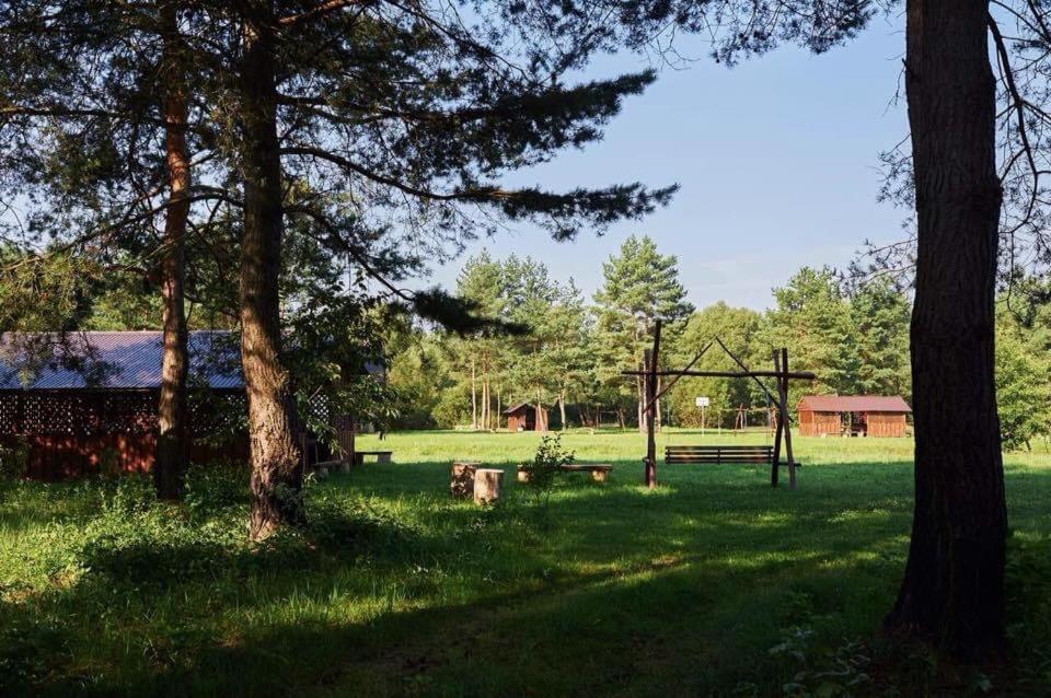 SytikLand — forest-grounds